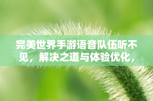 解决完美世界手游语音队伍听不见问题图片