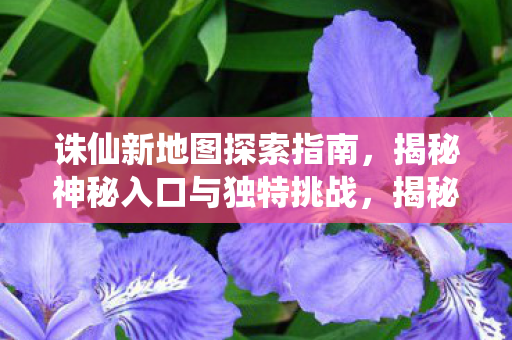 神秘入口与独特挑战全解析图片
