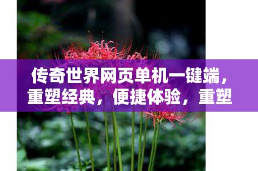 传奇世界网页单机一键端,重塑经典,便捷体验,重塑经典便捷体验,传奇世界网页单机一键端 传奇世界网页单机一键端,重塑经典,便捷体验,重塑经典便捷体验,传奇世界网页单机一键端