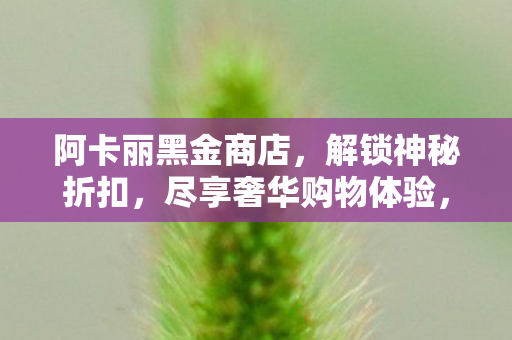 阿卡丽黑金商店，解锁神秘折扣，尽享奢华购物体验，阿卡丽黑金商店解锁神秘折扣，奢华购物等你来享