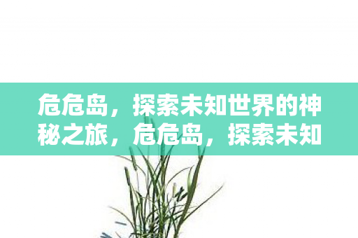 危危岛，探索未知世界的神秘之旅，危危岛，探索未知世界的神秘之旅