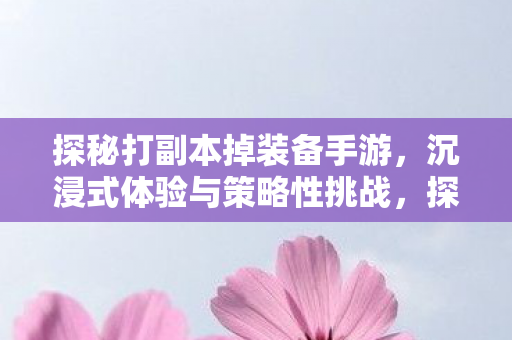 探秘打副本掉装备手游，沉浸式体验与策略性挑战，探秘打副本掉装备手游，沉浸式体验与策略性挑战