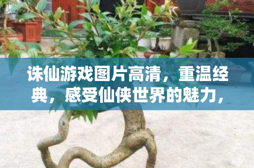 感受仙侠世界的魅力图片