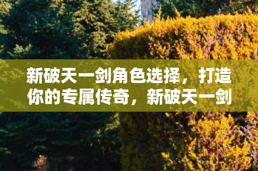 新破天一剑角色选择，打造你的专属传奇，新破天一剑，打造你的专属传奇角色
