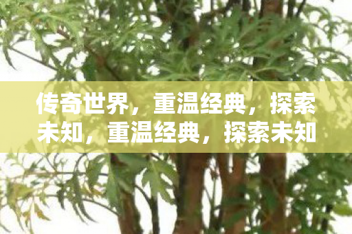 传奇世界的奇幻之旅图片