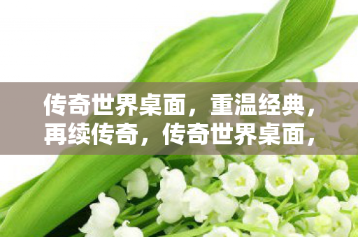 传奇世界桌面，重温经典，再续传奇，传奇世界桌面，重温经典，再续传奇之旅