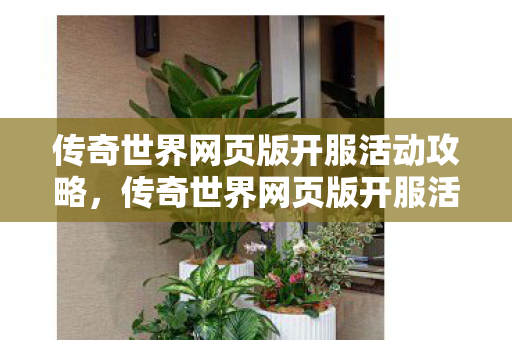 传奇世界网页版开服活动全攻略图片