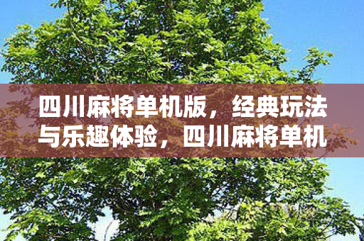 四川麻将单机版，经典玩法与乐趣体验，四川麻将单机版，经典玩法与乐趣体验