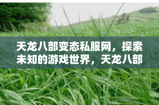 天龙八部变态私服网图片