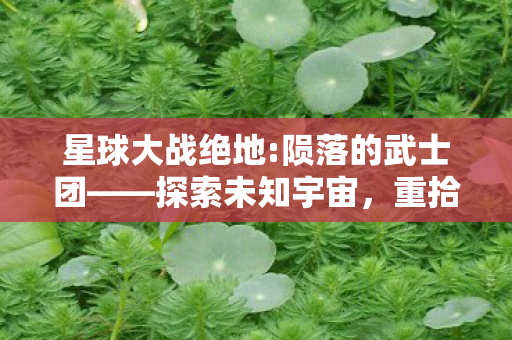 星球大战绝地:陨落的武士团——探索未知宇宙，重拾武士之魂，星球大战绝地:陨落的武士团探索宇宙，重拾武士之魂