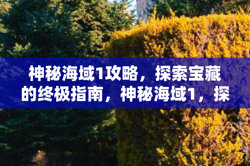 神秘海域1攻略，探索宝藏的终极指南，神秘海域1，探索宝藏的终极攻略指南
