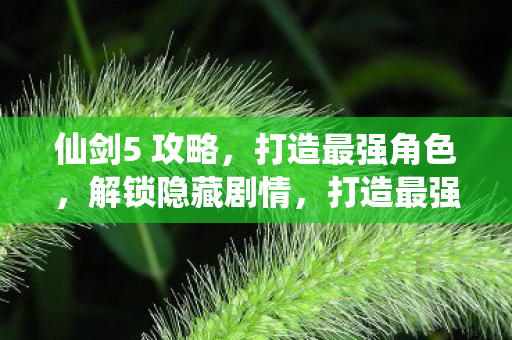 仙剑5 攻略，打造最强角色，解锁隐藏剧情，打造最强角色，解锁隐藏剧情，仙剑5攻略