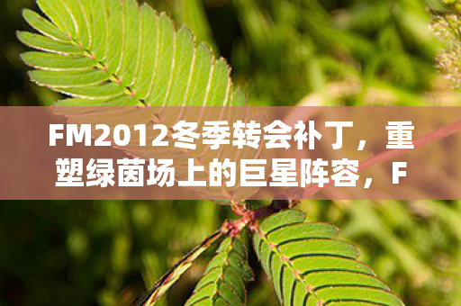 FM2012冬季转会补丁，重塑绿茵场上的巨星阵容，FM2012冬季转会补丁，重塑绿茵巨星阵容