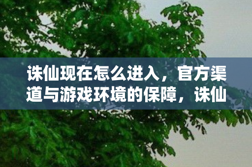 官方渠道与游戏环境的保障图片