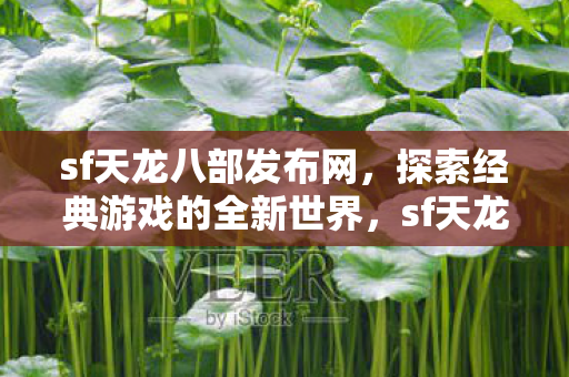 sf天龙八部发布网，探索经典游戏的全新世界，sf天龙八部发布网，探索经典游戏的全新世界