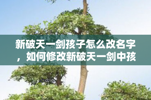 新破天一剑孩子怎么改名字，如何修改新破天一剑中孩子的名字？