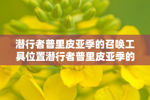 潜行者普里皮亚季的召唤工具位置潜行者普里皮亚季的召唤，潜行者普里皮亚季的召唤，召唤工具位置全解析