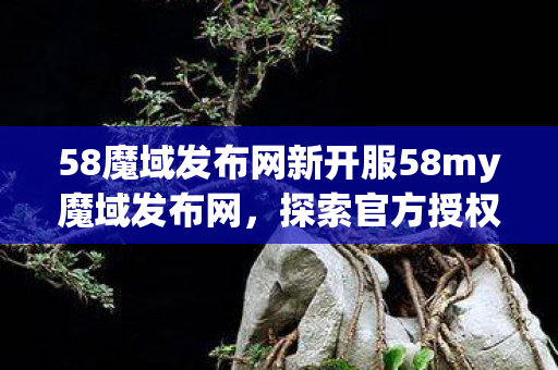 58魔域发布网新开服58my魔域发布网图片
