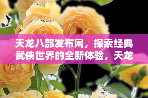 天龙八部发布网，探索经典武侠世界的全新体验，天龙八部发布网，探索经典武侠世界的全新体验