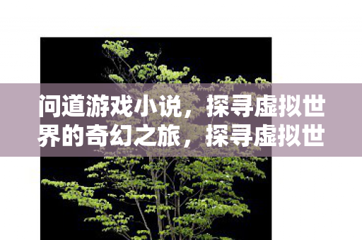 问道游戏小说，探寻虚拟世界的奇幻之旅，探寻虚拟世界的奇幻之旅，问道游戏小说