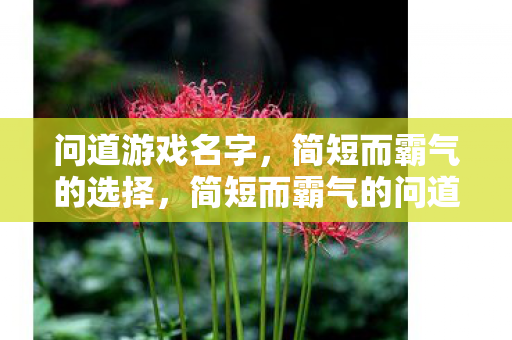简短而霸气的问道游戏名字推荐图片
