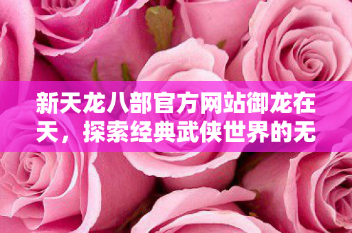 新天龙八部官方网站御龙在天图片