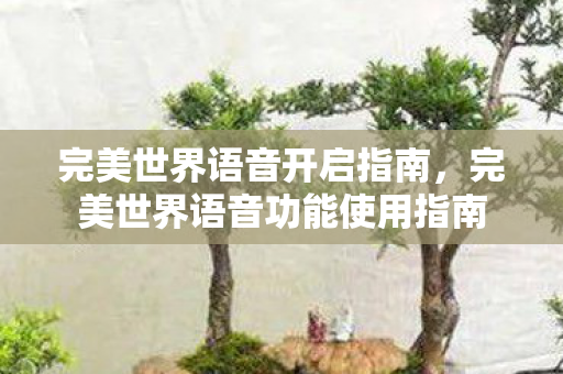 完美世界语音开启指南，完美世界语音功能使用指南
