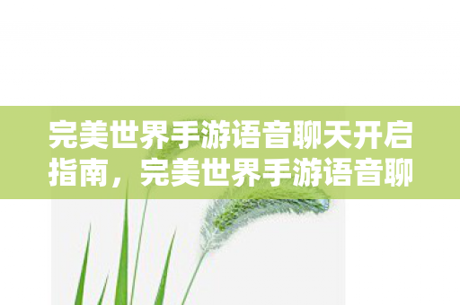 完美世界手游语音聊天功能使用指南图片