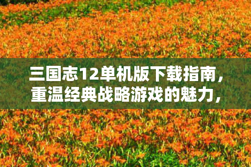 三国志12单机版下载指南,重温经典战略游戏的魅力,三国志12单机版下载指南,重温经典战略游戏魅力 三国志12单机版下载指南,重温经典战略游戏的魅力,三国志12单机版下载指南,重温经典战略游戏魅力