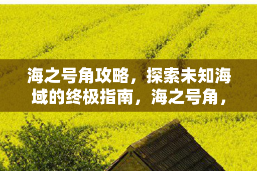 海之号角攻略，探索未知海域的终极指南，海之号角，探索未知海域的终极指南