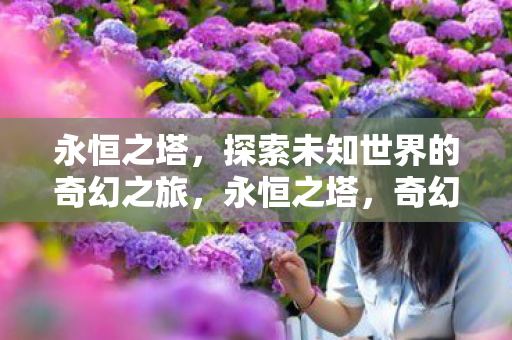 永恒之塔，探索未知世界的奇幻之旅，永恒之塔，奇幻之旅探索未知世界