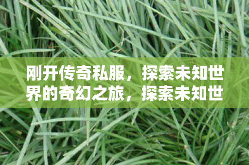 刚开传奇私服,探索未知世界的奇幻之旅,探索未知世界的奇幻之旅,全新传奇私服开启 刚开传奇私服,探索未知世界的奇幻之旅,探索未知世界的奇幻之旅,全新传奇私服开启