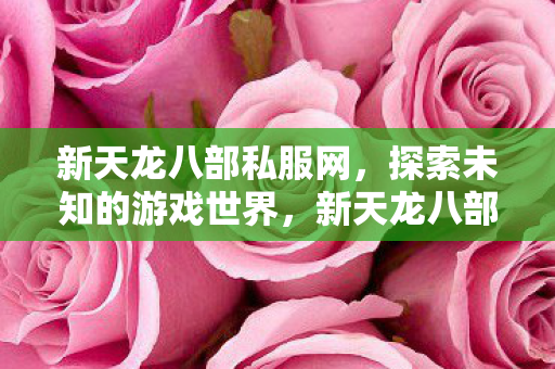 探索未知的游戏世界图片