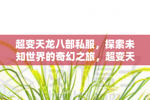 超变天龙八部私服，探索未知世界的奇幻之旅，超变天龙八部私服，奇幻之旅探索未知世界