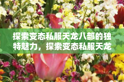探索变态私服天龙八部的独特魅力,探索变态私服天龙八部的独特魅力 探索变态私服天龙八部的独特魅力,探索变态私服天龙八部的独特魅力