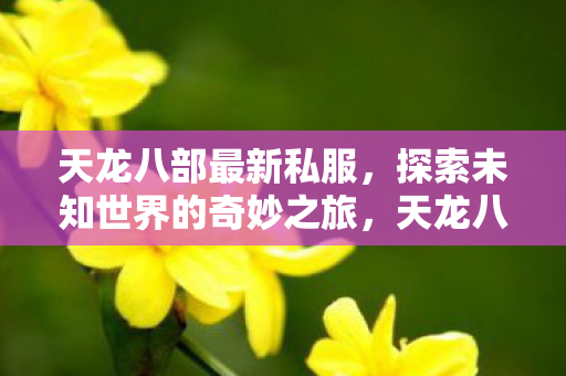 探索未知世界的奇妙之旅图片