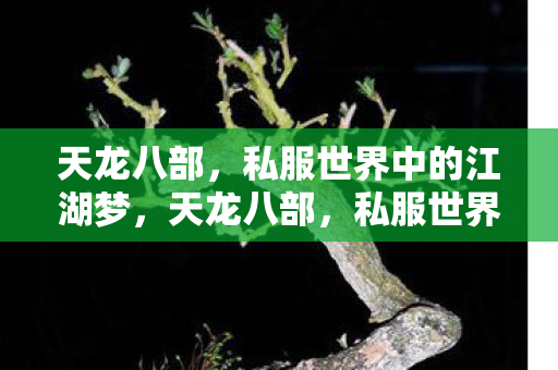 天龙八部,私服世界中的江湖梦,天龙八部,私服世界中的江湖梦 天龙八部,私服世界中的江湖梦,天龙八部,私服世界中的江湖梦