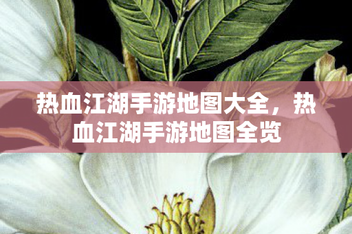 热血江湖手游地图大全图片