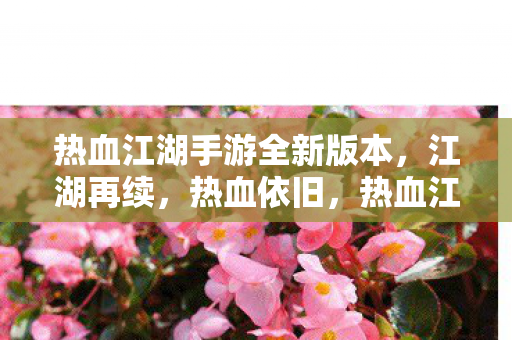 热血江湖手游全新版本上线图片