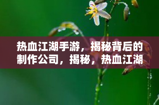 热血江湖手游背后的制作公司图片