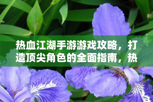 打造顶尖角色的全面指南图片