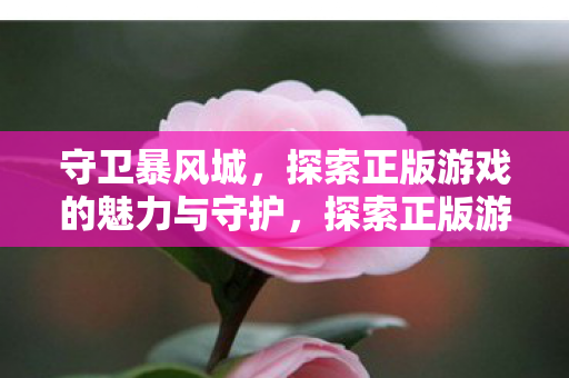 守卫暴风城，探索正版游戏的魅力与守护，探索正版游戏魅力，守卫暴风城，游戏守护者的使命