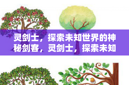灵剑士，探索未知世界的神秘剑客，灵剑士，探索未知世界的神秘剑客