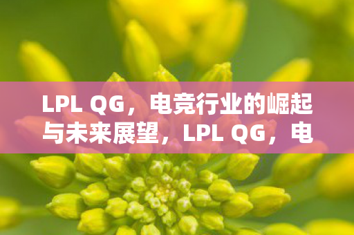 LPL QG，电竞行业的崛起与未来展望，LPL QG，电竞行业的崛起与未来展望