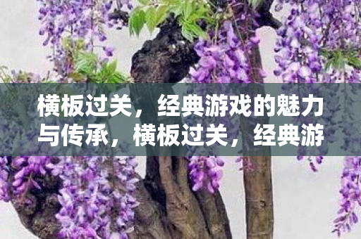 横板过关，经典游戏的魅力与传承，横板过关，经典游戏的魅力与传承