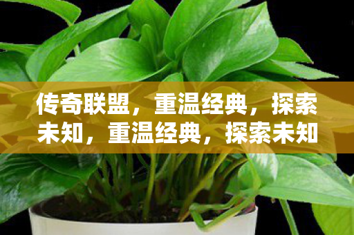 传奇联盟，重温经典，探索未知，重温经典，探索未知，传奇联盟等你来战