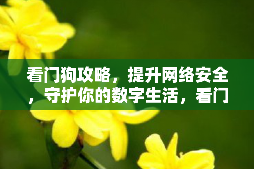 看门狗攻略，提升网络安全，守护你的数字生活，看门狗攻略，提升网络安全，守护数字生活安全