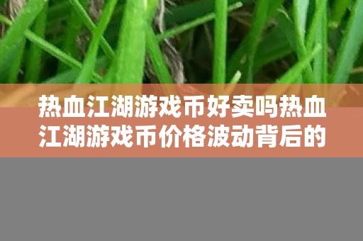 热血江湖游戏币好卖吗热血江湖游戏币价格波动背后的秘密，揭秘，热血江湖游戏币价格波动背后的秘密