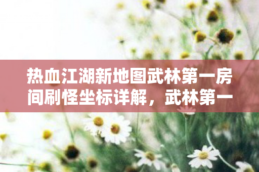 热血江湖新地图武林第一房间刷怪坐标详解图片