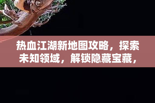 热血江湖新地图探索攻略图片